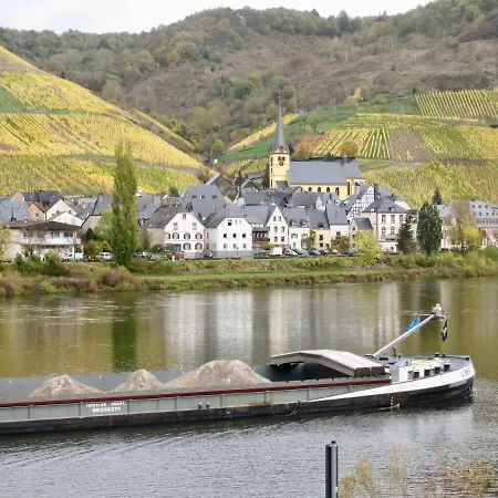 Lieserpfad-wittlich Apartmán