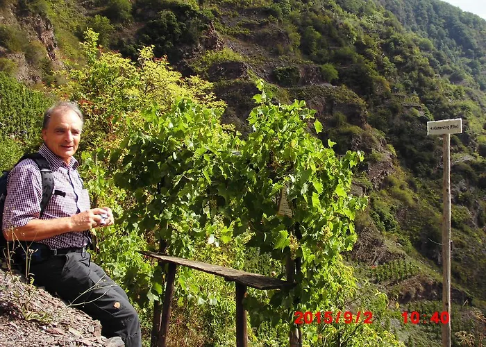 Lieserpfad-wittlich *