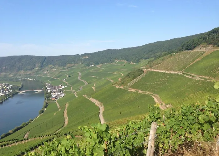 Lieserpfad-wittlich דירה *